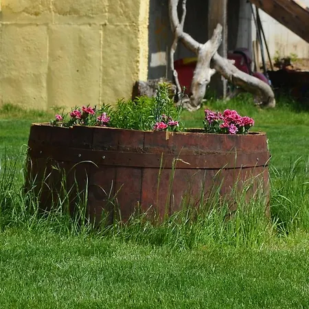 айя Смочево